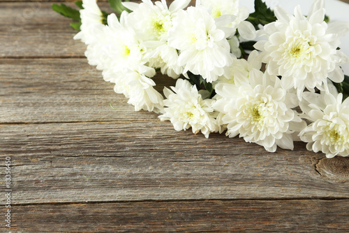 White chrysanthemum flowers on grey wooden background