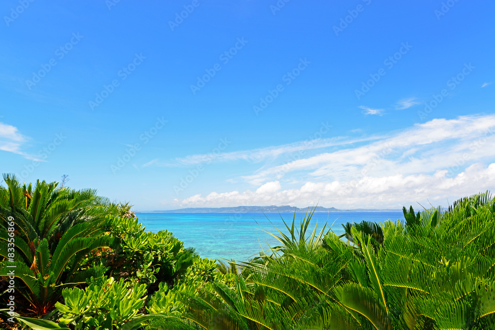 沖縄の亜熱帯植物と美しい海