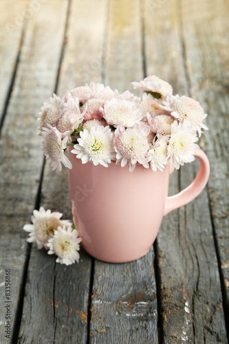 Fototapeta Naklejka Na Ścianę i Meble -  Beautiful chrysanthemums in cup on wooden background