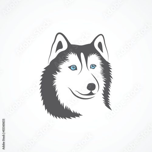 Siberian Husky