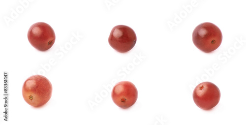 Six single dark red grapes isolated