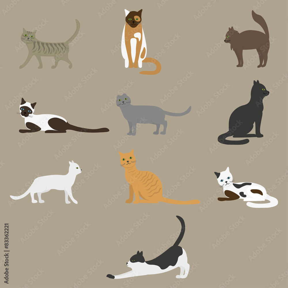 Set of funny cats Set of funny cats