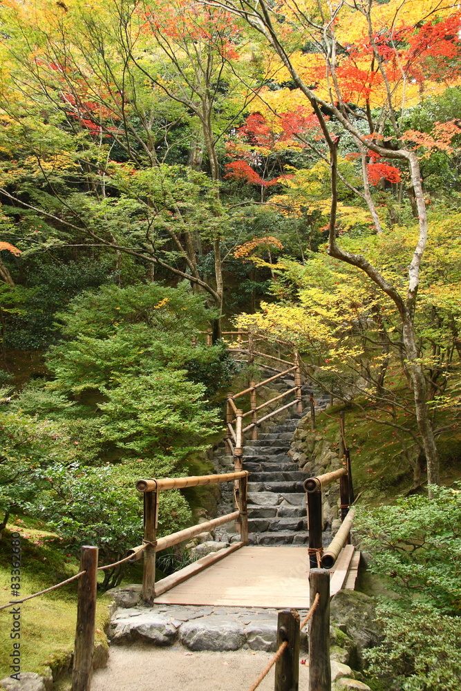 Stairway at a hill in a japanese garden (Kyoto) Stairway at a hill in a japanese garden (Kyoto)