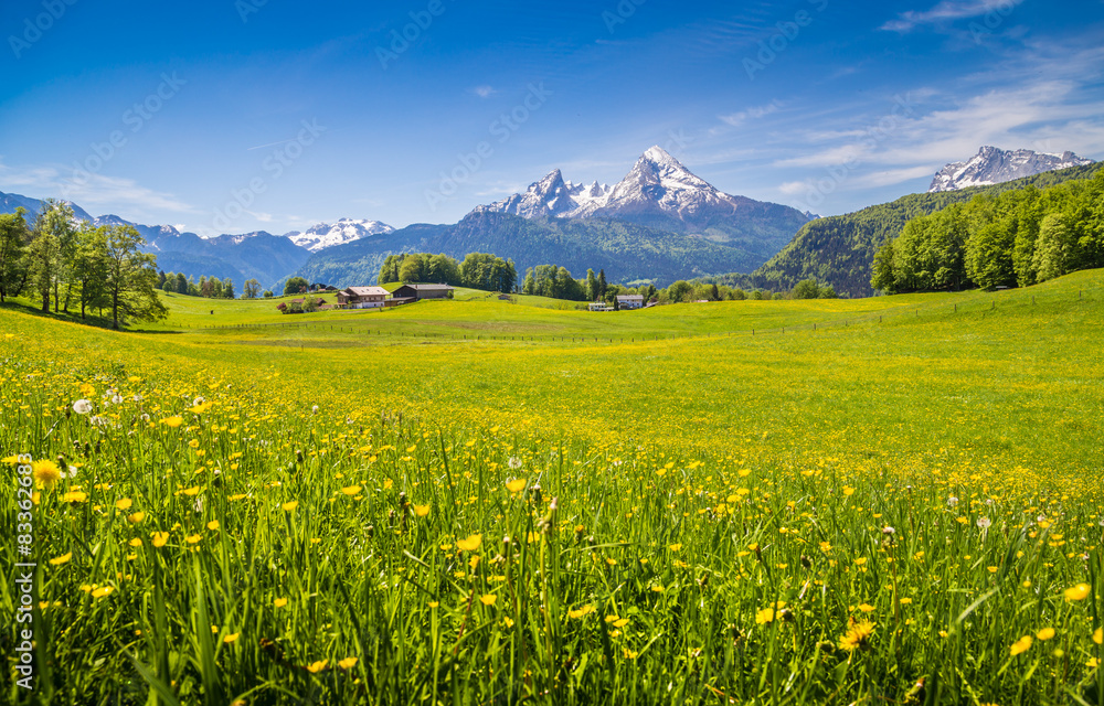 Idyllic landscape in the Alps with green meadows and flowers Idyllic landscape in the Alps with green meadows and flowers