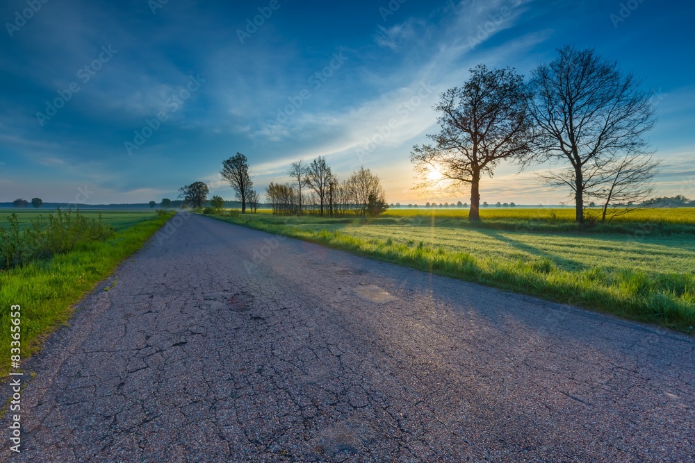 Fototapeta premium Rural destroyed asphalt road in calm countryside