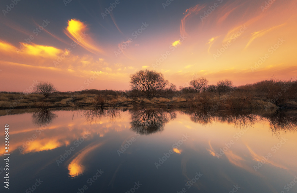 Fototapeta premium Beautiful landscape on the lake