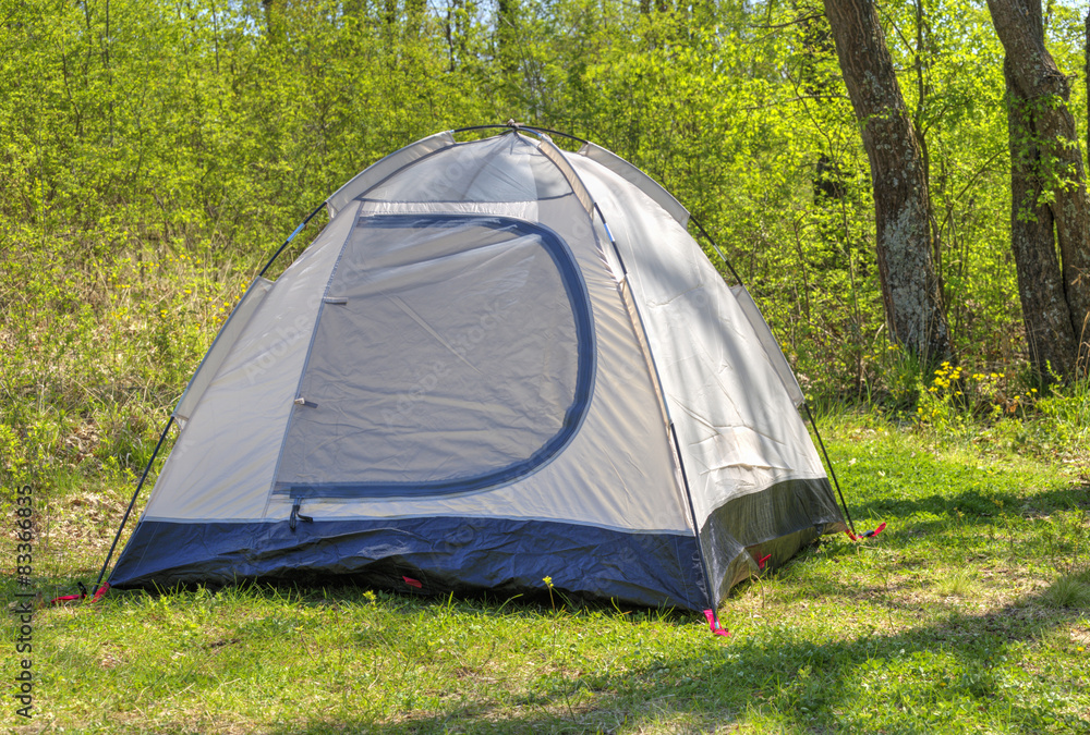 Camping tent in sunny forest