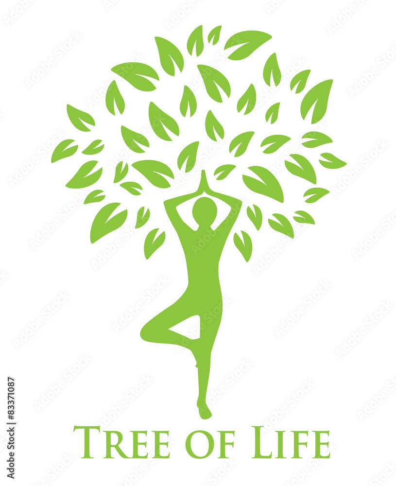 Obraz premium tree with green leaves and a silhouette of a man doing yoga