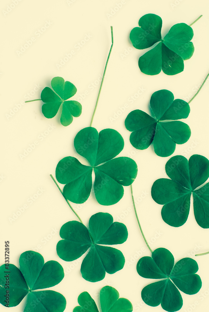 Bear Clover Leaf Green, background Bear Clover Leaf Green, background