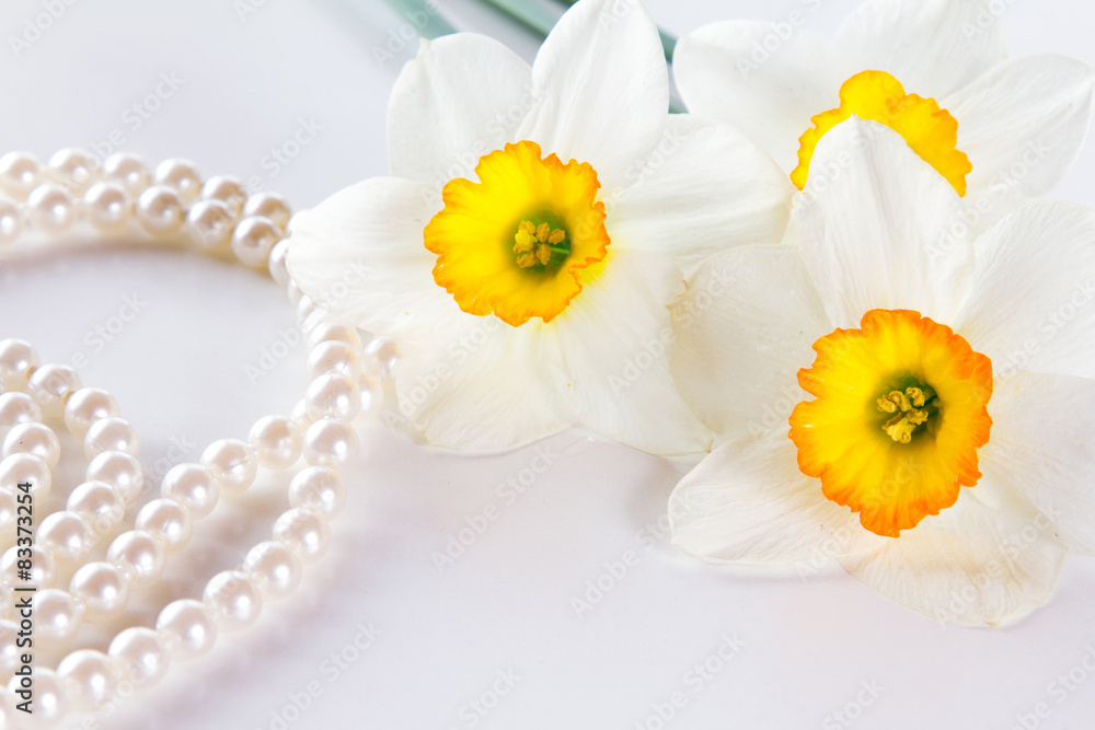 Obraz premium Three narcissus