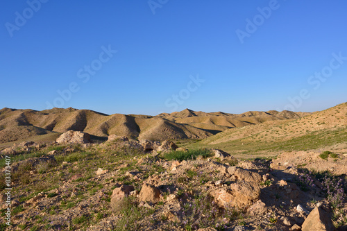 Tableau sur toile Negev Desert