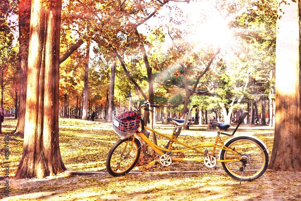 Fototapeta premium bicycle under sunlight. 