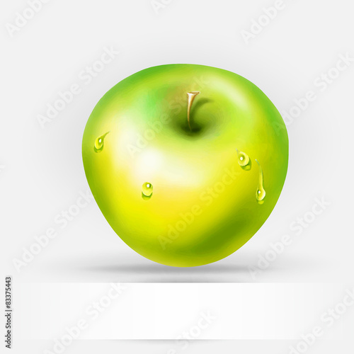 green apple with water drops, vector drawing with space for text