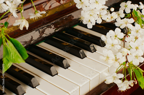 the blossoming cherry on a piano
