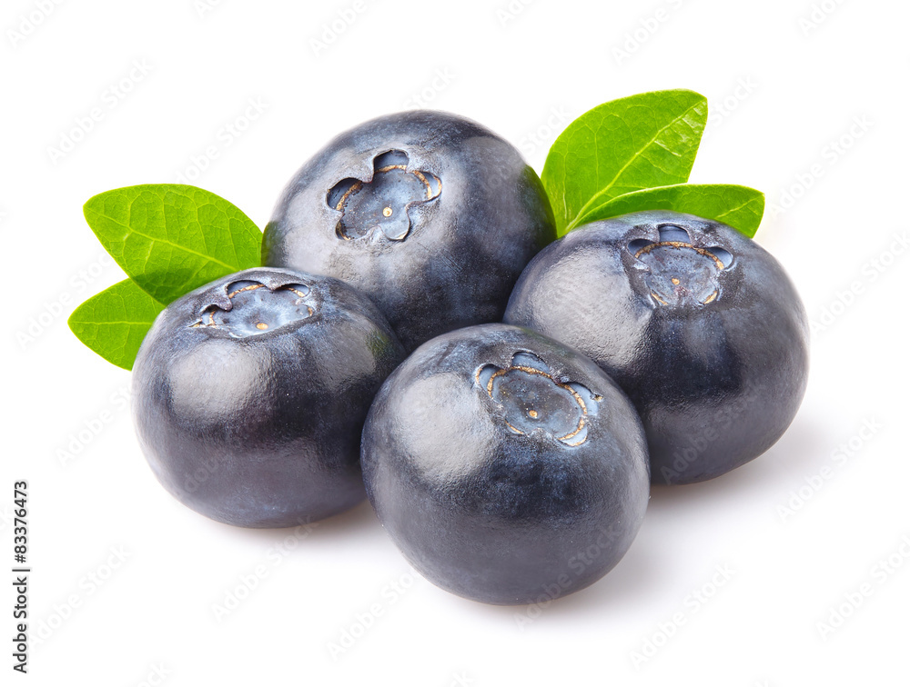 Fresh blueberry Fresh blueberry