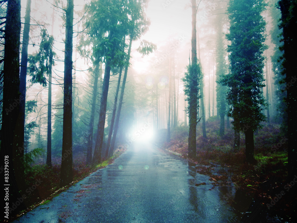 O anoitecer numa velha estrada rural - noite de nevoeiro e de chuva