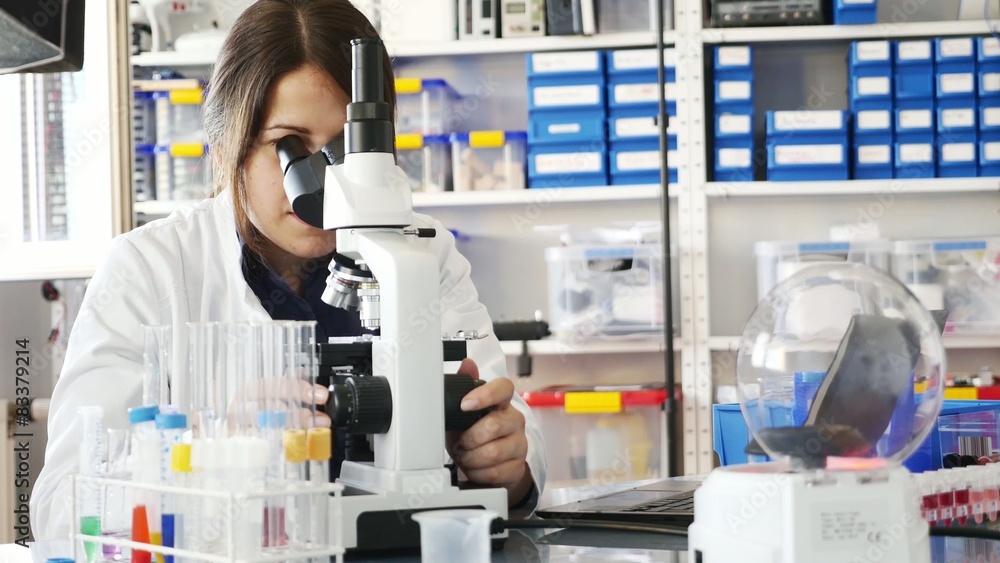 technician in the laboratory using a microscope technician in the laboratory using a microscope