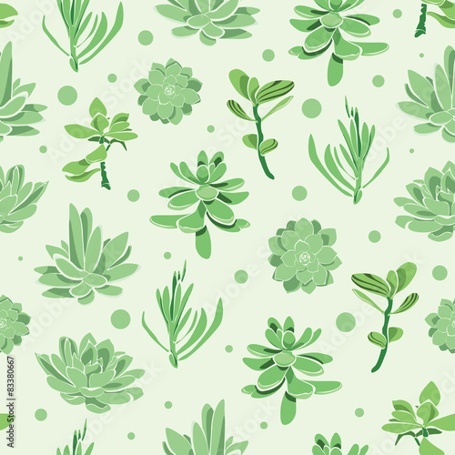 Vector succulent garden seamless pattern background