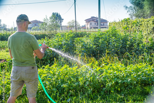 Annaffiare l'orto, dare l'acqua, agricoltura photo