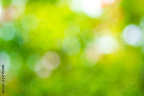 Abstract nature blurred background with bokeh