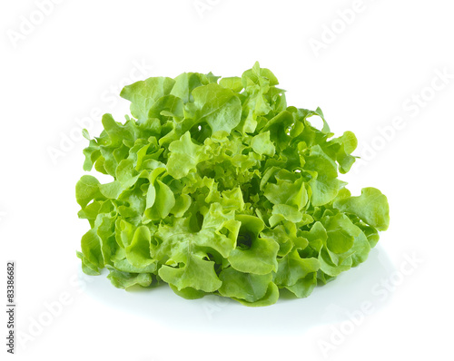 Fresh lettuce isolated on white background