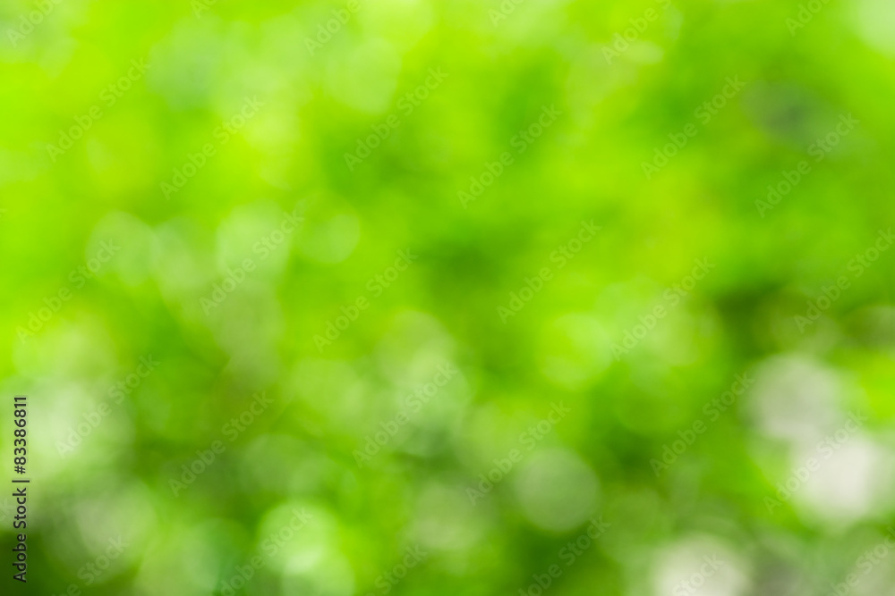 Abstract nature blurred background with bokeh Abstract nature blurred background with bokeh