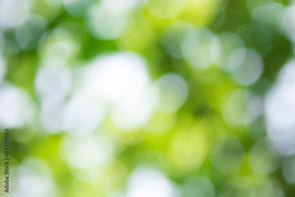 Abstract nature blurred background with bokeh Abstract nature blurred background with bokeh