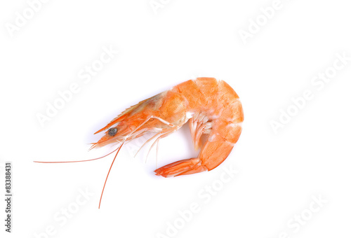 Boiled  shrimp on white background