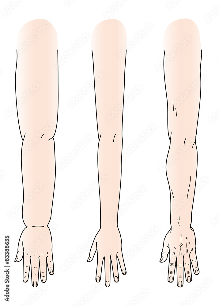 節くれだった手 Images Browse 1 Stock Photos Vectors And Video Adobe Stock