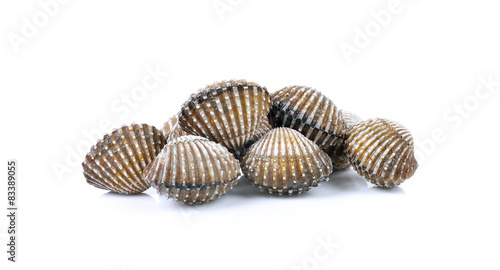 fresh cockles seafood background