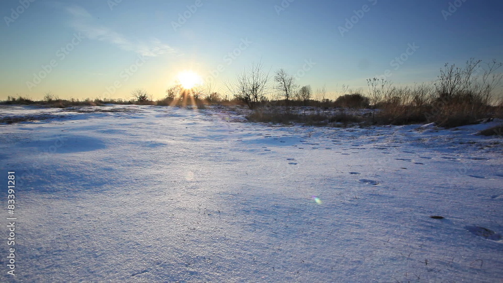 Winter landscape with sunset sun and snow. Dolly shot Winter landscape with sunset sun and snow. Dolly shot