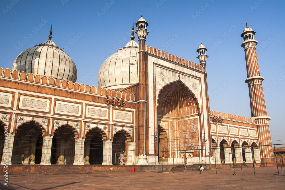Fototapeta premium Jama Masjid Mosque in Delhi