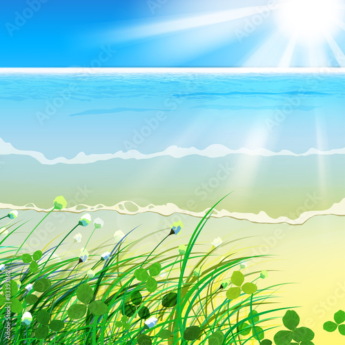 01 paradise Sea grass