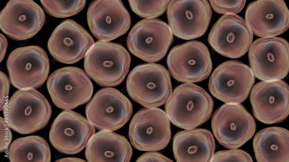 Abstract of cells in mitosis and multiplication for and biology Abstract of cells in mitosis and multiplication for and biology