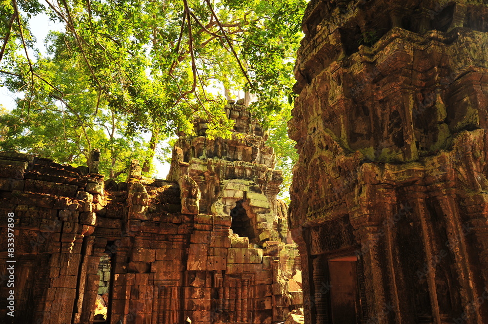 Ta Prohm Temple of Angkor Thom in Cambodia