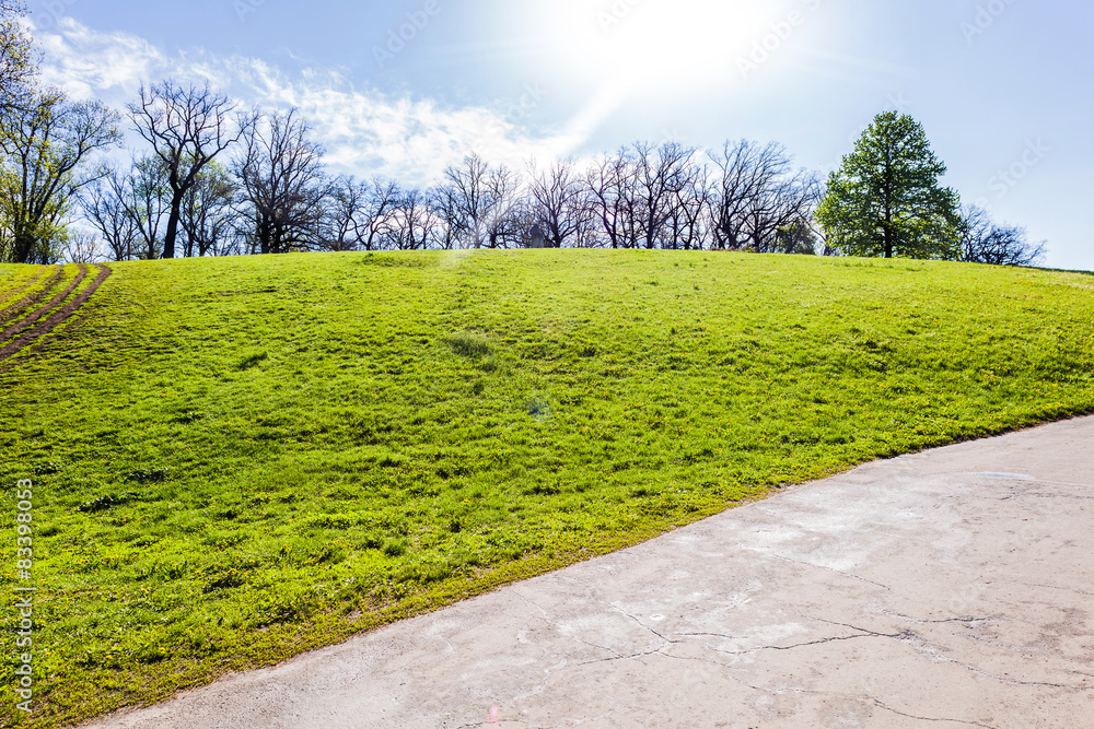 Fototapeta premium spring landscape