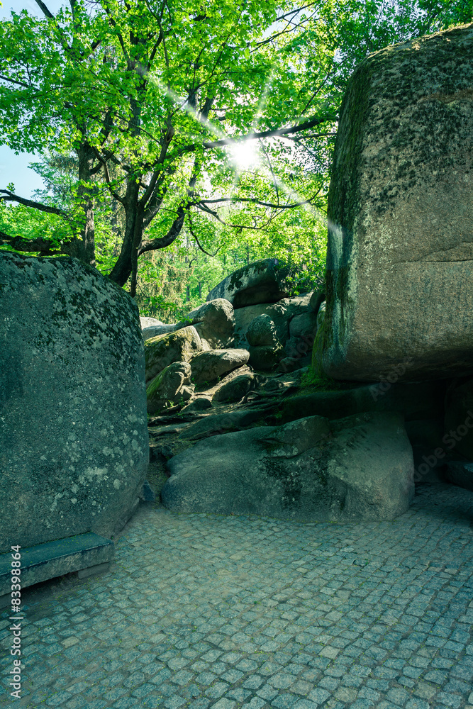 Fototapeta premium large rocks and plants