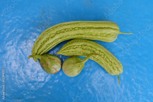 bitter cucumber and egg plant on blue background photo