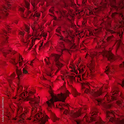 Bouquet of red flowers carnation for use as nature background.