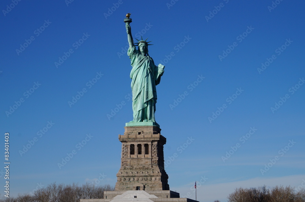 Fototapeta premium Statue of Liberty