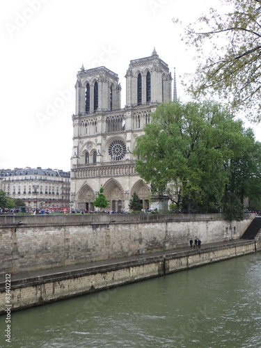 Cathédrale Notre-Dame avec la Seine 