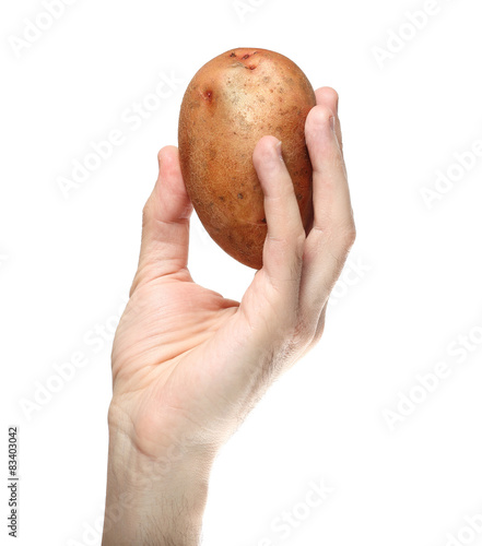 Man`s hand holding potato isolated on white background