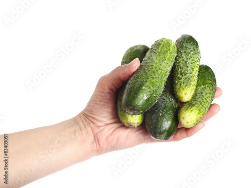 Hand holding cucumbers isolated on white background