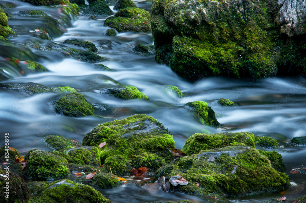 Obraz premium waterfall running through mossy stones