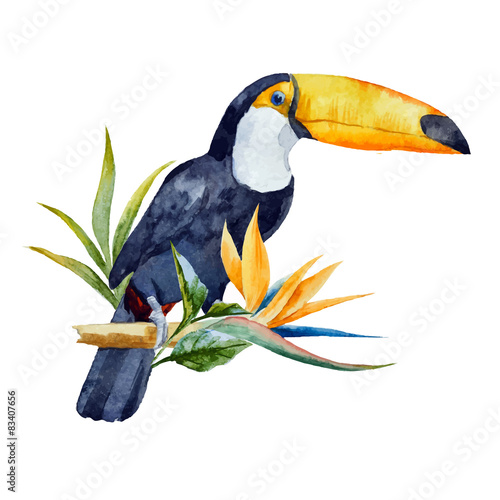 Watercolor toucan