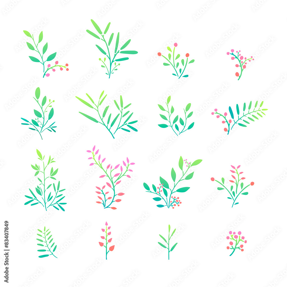 Set of plant elements. Bouquets, kits, ornaments of grass, twigs Set of plant elements. Bouquets, kits, ornaments of grass, twigs