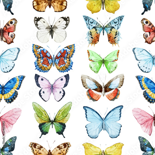 Watercolor butterfly pattern © zenina