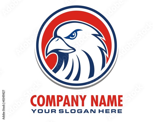 hawk eagle falcon logo image vector
