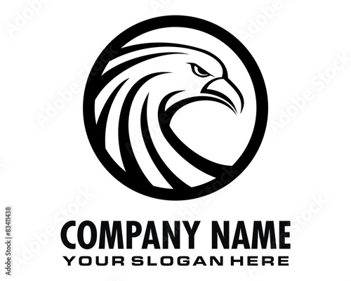 hawk eagle falcon logo image vector