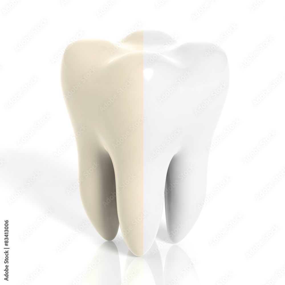 Molar tooth white and yellow isolated on white background Molar tooth white and yellow isolated on white background